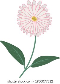 Vector daisy flower spring-summer green 2D image with leaves, blooming cartoon illustration, beautiful and bright. Ready for games and illustrations.