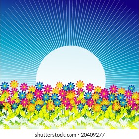 VECTOR Daisy Flowers Background with a wonderful sun and sky