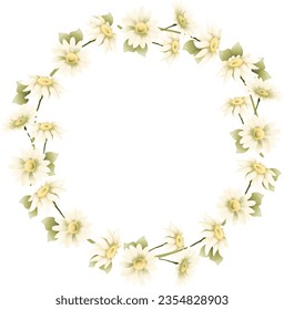 Vector Daisy flowers frame illustration, Delicate white flowers and leaves wreath clipart, meadow floral border clipart, wildflowers arrangements