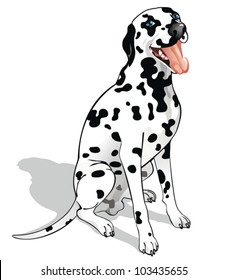 Vector dalmatian