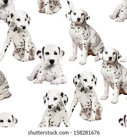 Vector Dalmatian puppies