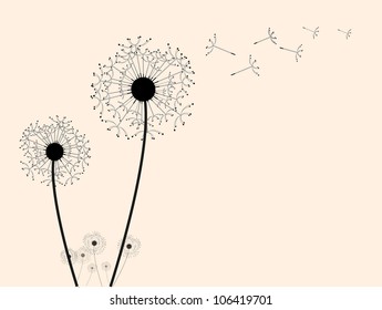 vector dandelion