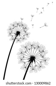 vector dandelion