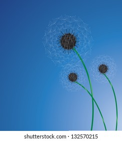 vector dandelion
