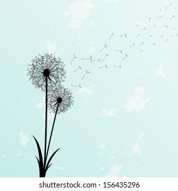 Vector Dandelion 