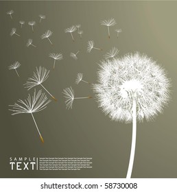 Vector Dandelion