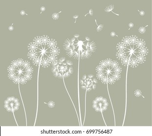 Vector dandelion