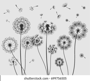 Vector dandelion