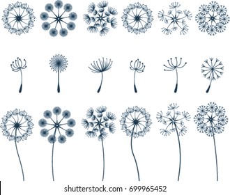 Vector dandelion