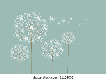 vector dandelion