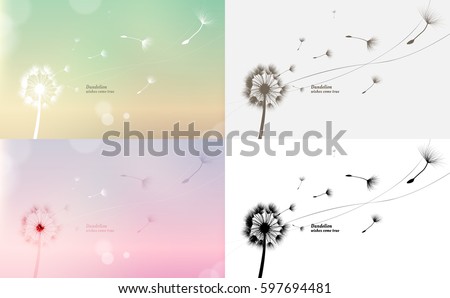 Similar – Image, Stock Photo Beautiful fluffy dandelion flower blowball with seeds, spores in garden.