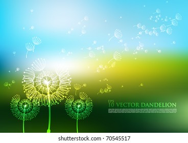 Vector Dandelion Design