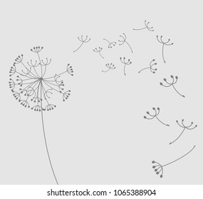 Vector dandelion flower