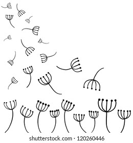 vector dandelion flower