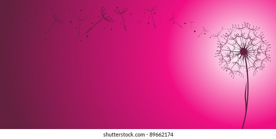 A vector dandelion flower silhouette in a pink background with gradient.
