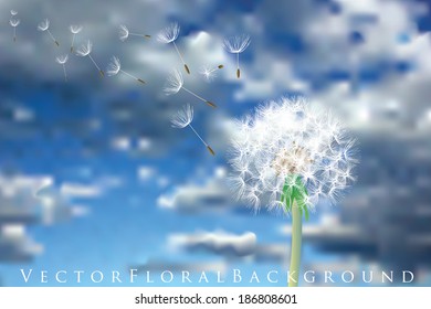 vector dandelion with flying seeds on cloudy sky 