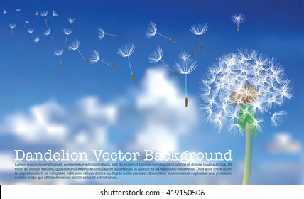 vector dandelion with flying seeds on cloudy sky