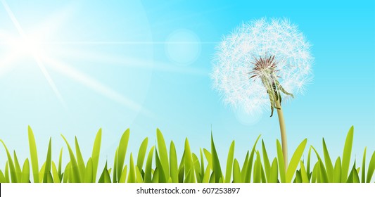 Vector dandelion with flying seeds on cloudy sky
