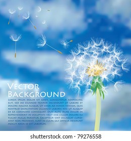 vector dandelion with flying seeds on cloudy sky