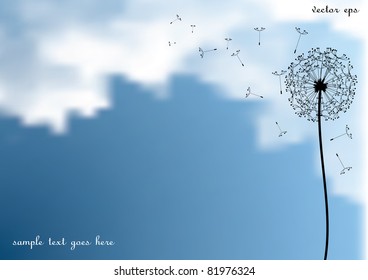 vector dandelion with flying seeds on sky