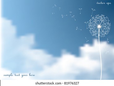 vector dandelion with flying seeds on  sky