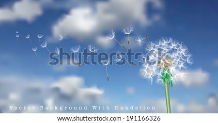 vector dandelion with flying seeds on cloudy sky 