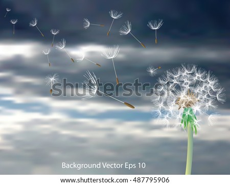 vector dandelion with flying seeds on cloudy sky