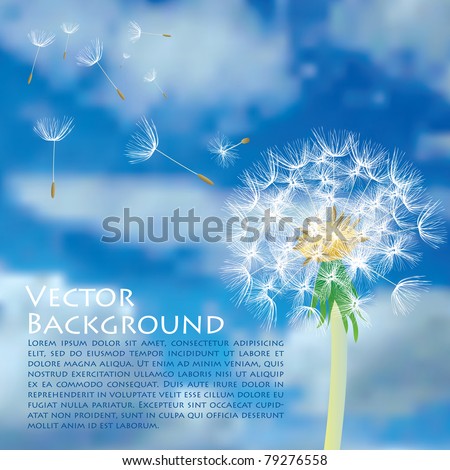 vector dandelion with flying seeds on cloudy sky