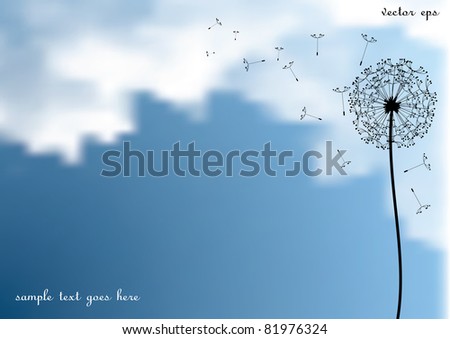 vector dandelion with flying seeds on sky