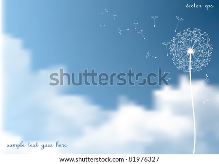 vector dandelion with flying seeds on  sky