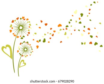 Vector dandelion herbs couple. Floral background design with meadow plant. Blow ball flower with heart shaped feather and leaves illustration, flying abstract petals.