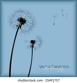 vector dandelion - Let them fly! All seeds are separate objects.