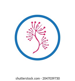 diseño del logotipo del vector de Dandelion y de la ilustración de la flor del símbolo