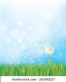 Vector dandelion on spring  background.