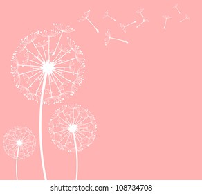 The vector dandelion on a wind loses the integrity