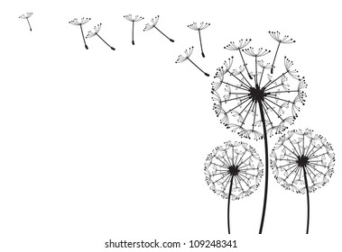 The vector dandelion on a wind loses the integrity