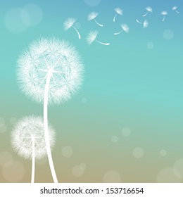 vector dandelion on a wind loses the integrity