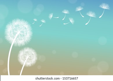 vector dandelion on a wind loses the integrity