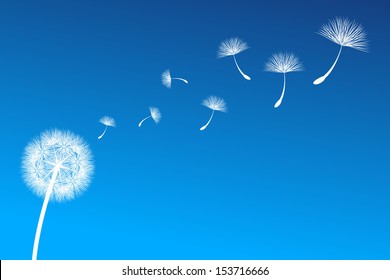 vector dandelion on a wind loses the integrity