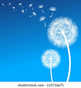 vector dandelion on a wind loses the integrity