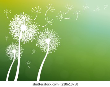 vector dandelion on a wind loses the integrity