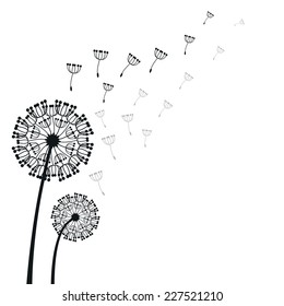 vector dandelion on a wind loses the integrity
