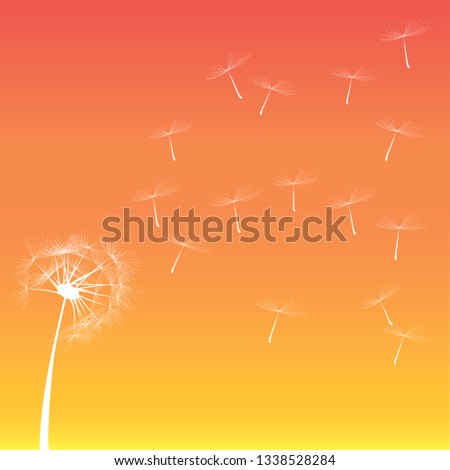 Vector dandelion on a wind loses the integrity
