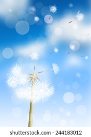 Vector dandelion and seed in the blue sky.