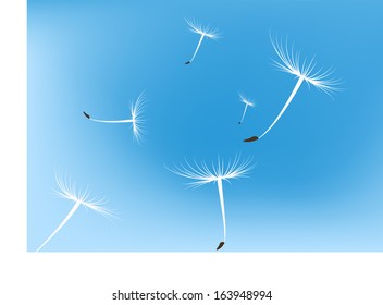 Vector dandelion seeds blown in the wind 