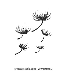 Vector dandelion seeds blown in the wind