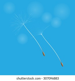 Vector dandelion seeds blown in the wind