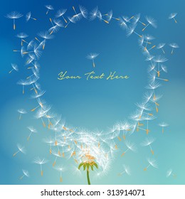 Vector dandelion with seeds flying away with the wind forming round frame