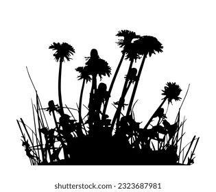 vector dandelion (Taraxacum) plant cluster silhouette isolated on white background