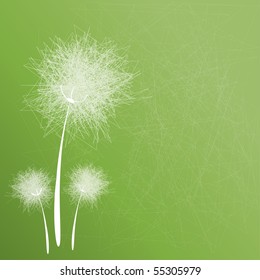 Vector dandelions